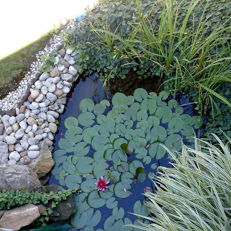 13 Апартаменты *